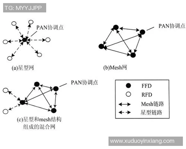 智利与德国决赛阵容分析及球员表现对比探讨